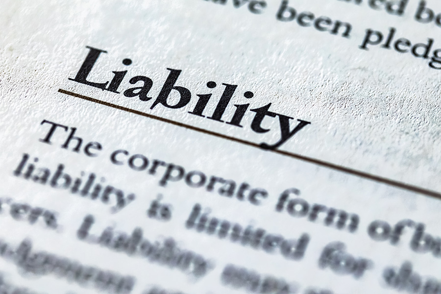 How does Liability Protection work in an LLC?