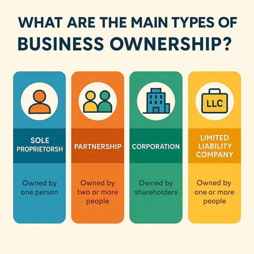 what are the main types of business owners
