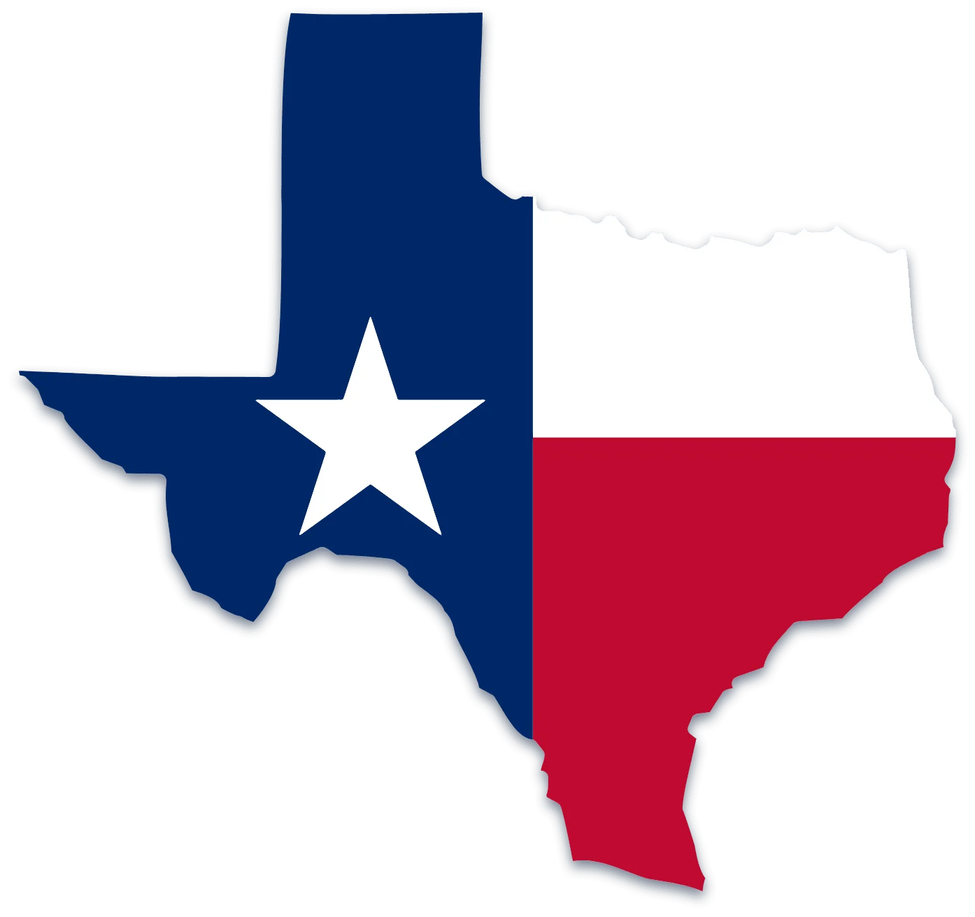 texas state flag (Texas state llc fee)