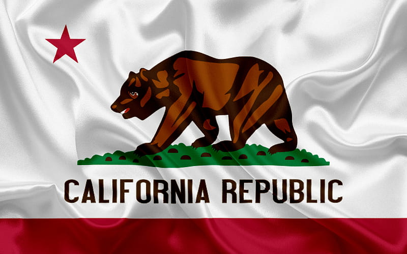 CA State Flag