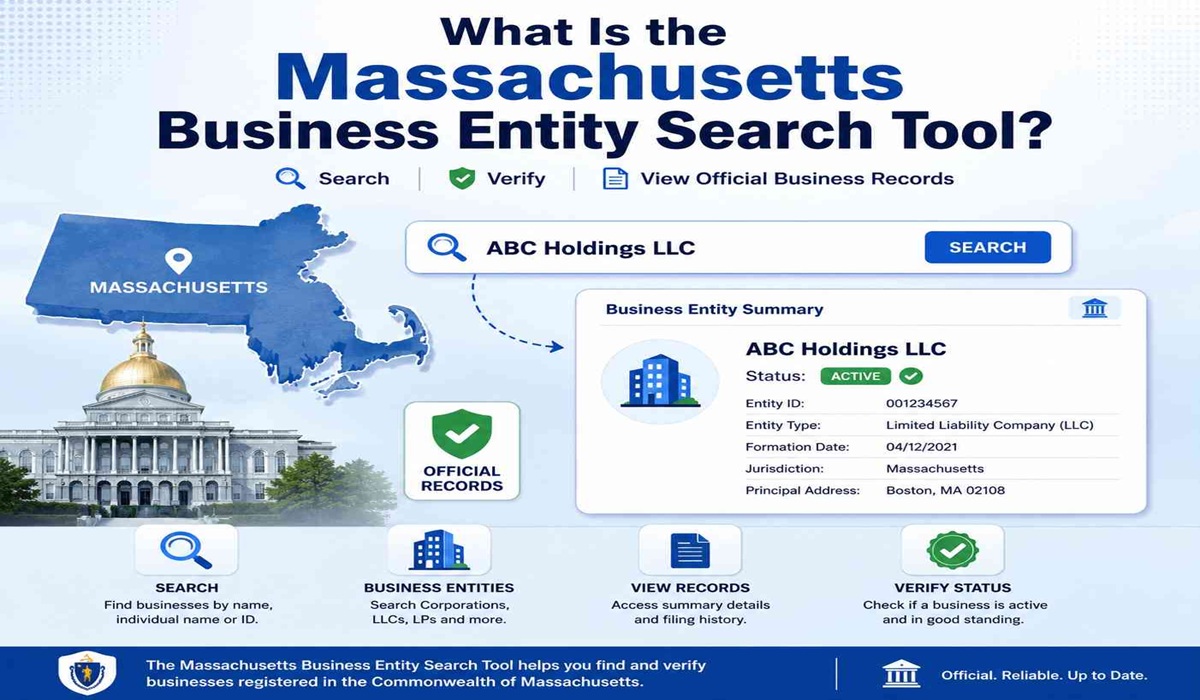what-is-the-massachusetts-business-entity-search-tool
