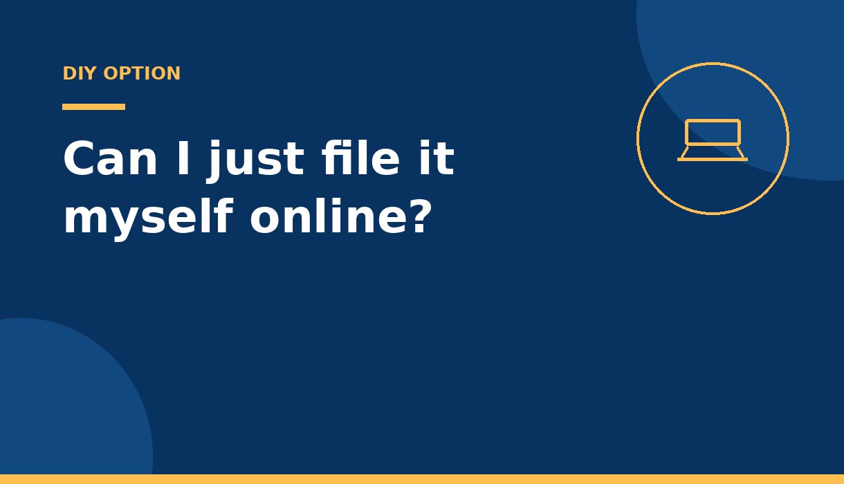 Can I just file it myself online